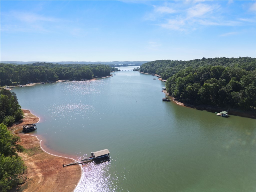 1298 Carradine Road Seneca, SC 29678 - Photo 43 of 43 Lake Hartwell