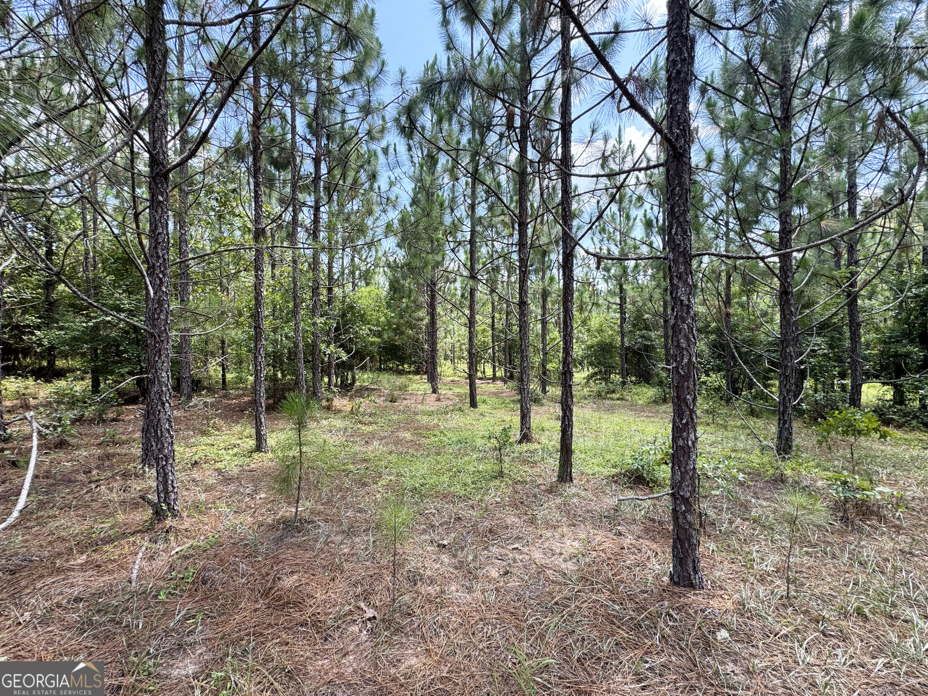Tbd Tbd Wooten Road Cuthbert, GA 39840 - Photo 38 of 71