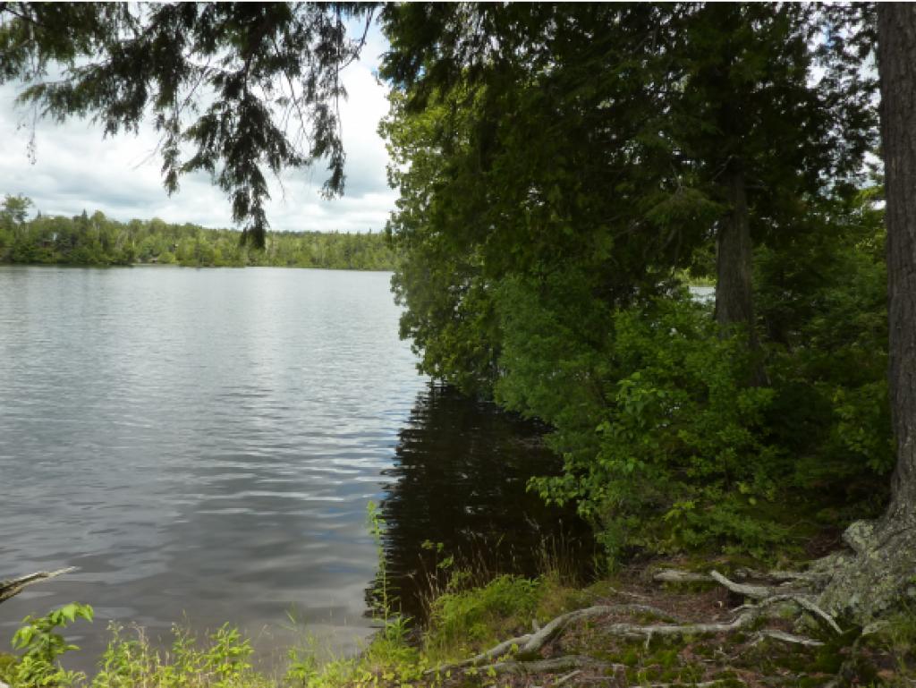 0 Fishing Access Road Norton, VT 05907 - Photo 1 of 14 Gallery Image 1
