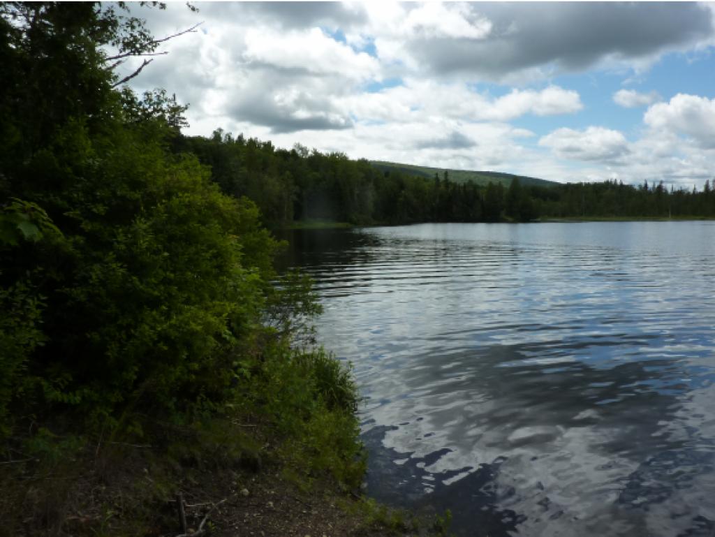 0 Fishing Access Road Norton, VT 05907 - Photo 9 of 14 Gallery Image 9