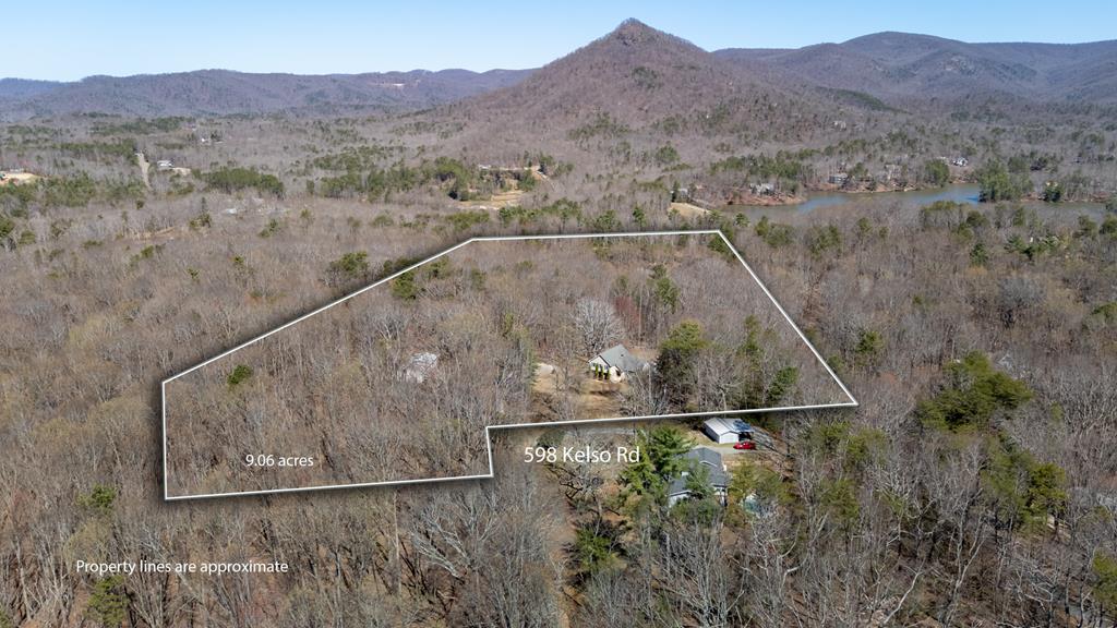 598 Kelso Road Jasper, GA 30143 - Photo 8 of 44 Overlay of approximate property lines