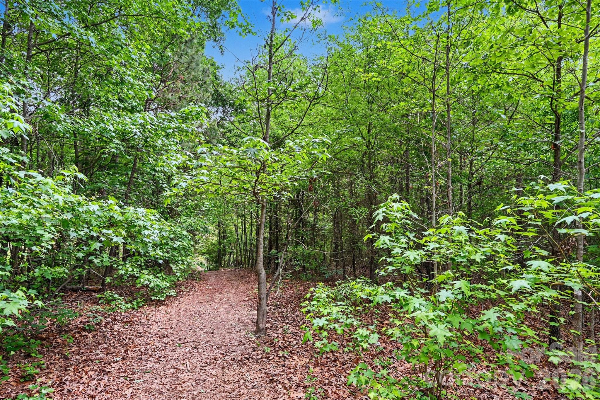 20146 Bantam Road Richfield, NC 28137 - Photo 28 of 29 Gallery Image 28