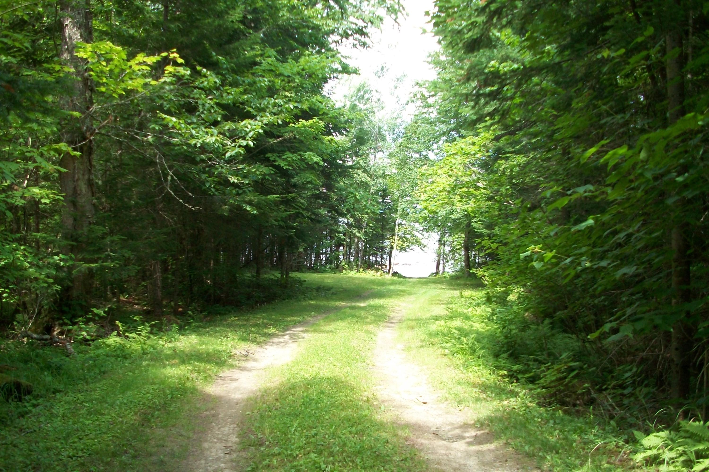 28 Moose Road North Oquossoc, ME 04964 - Photo 4 of 28 010
