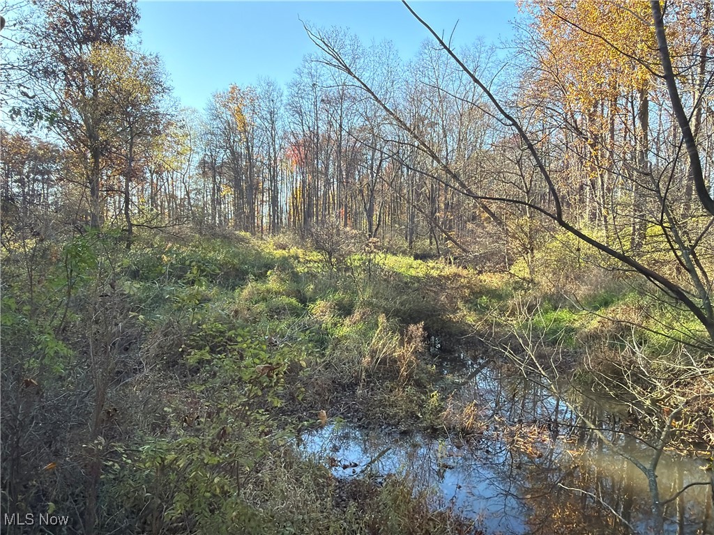 307 State Route Dorset, OH 44032 - Photo 11 of 50