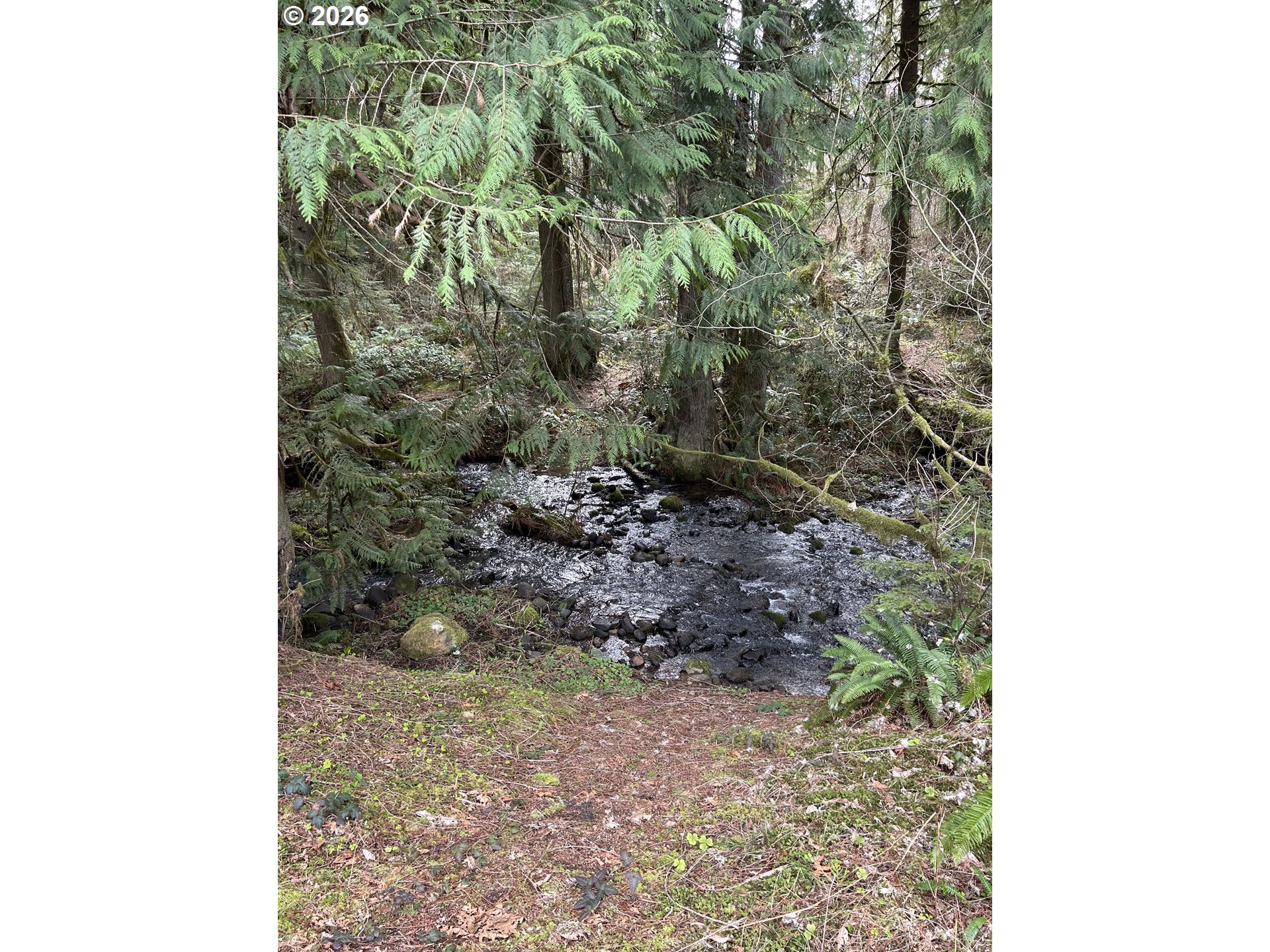 23660 Southeast Firwood Road Sandy, OR 97055 - Photo 8 of 27