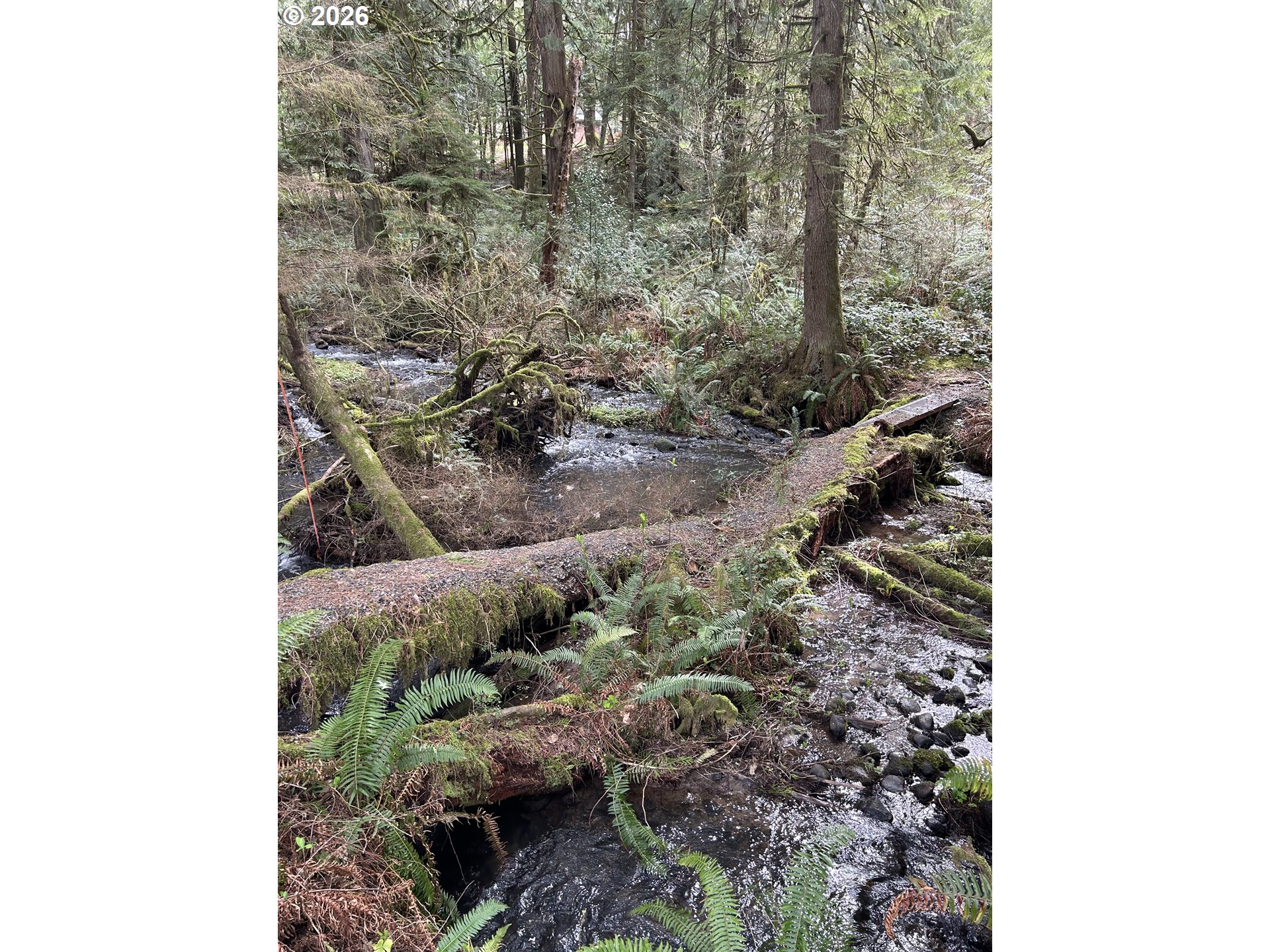 23660 Southeast Firwood Road Sandy, OR 97055 - Photo 9 of 27