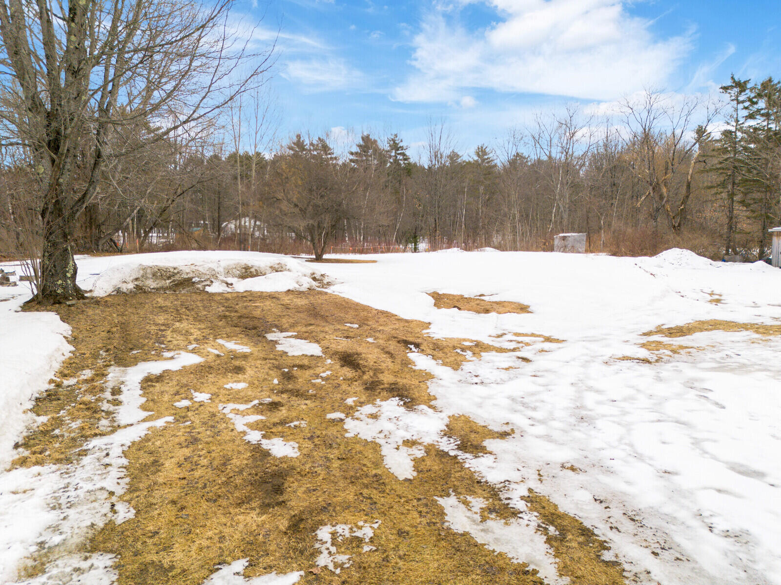 1655 River Road Clinton, ME 04927 - Photo 24 of 29 24 back yard (2)