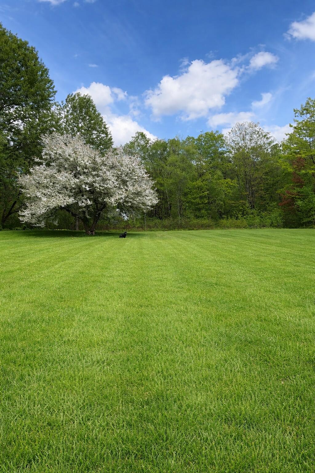 1655 River Road Clinton, ME 04927 - Photo 25 of 29 25 back yard summer