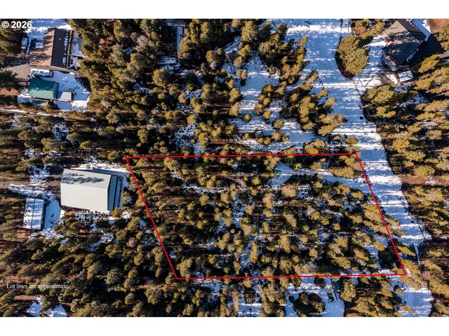 a view of outdoor space with lots of trees