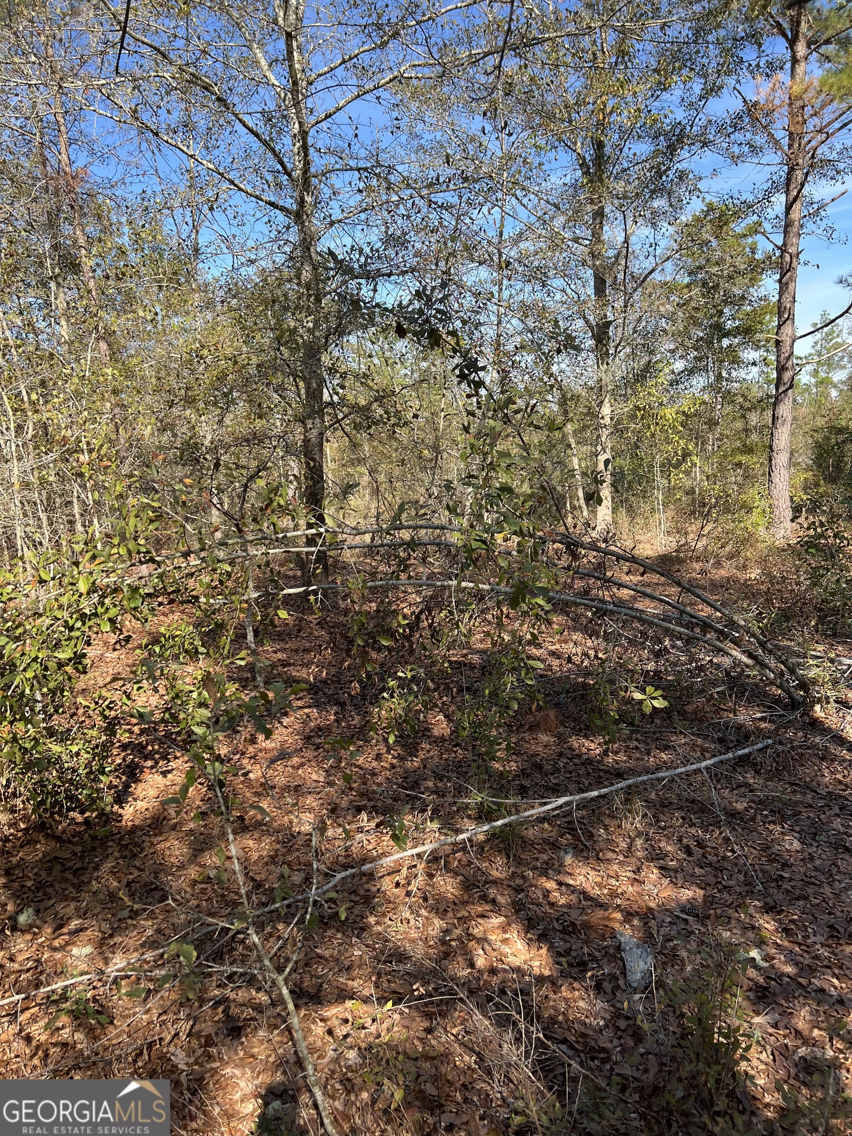 1432 Rozar-Goolsby Road Eastman, GA 31023 - Photo 2 of 6