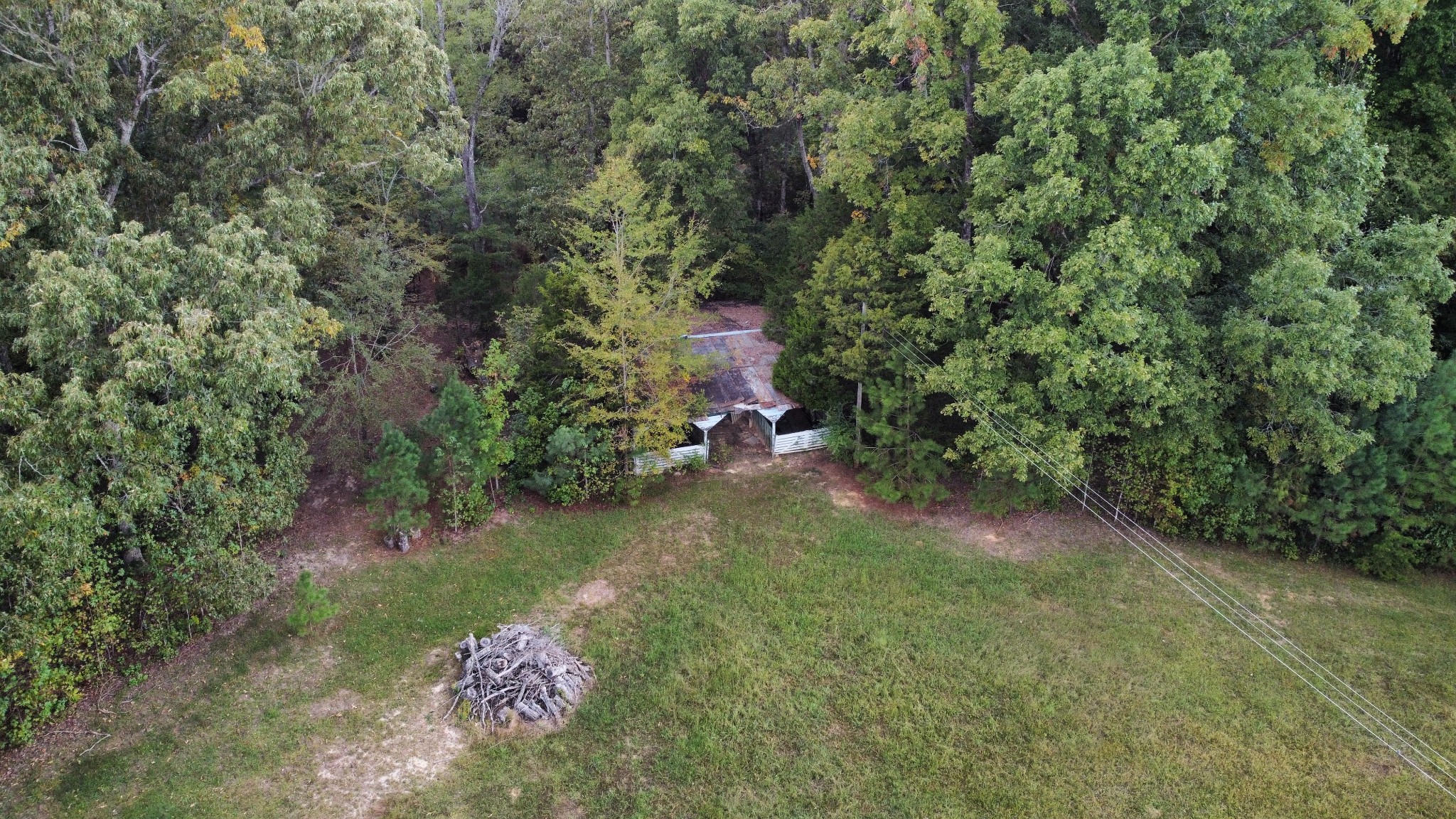 988 Wilkinstown Road Parsons, TN 38363 - Photo 27 of 40 Gallery Image 27