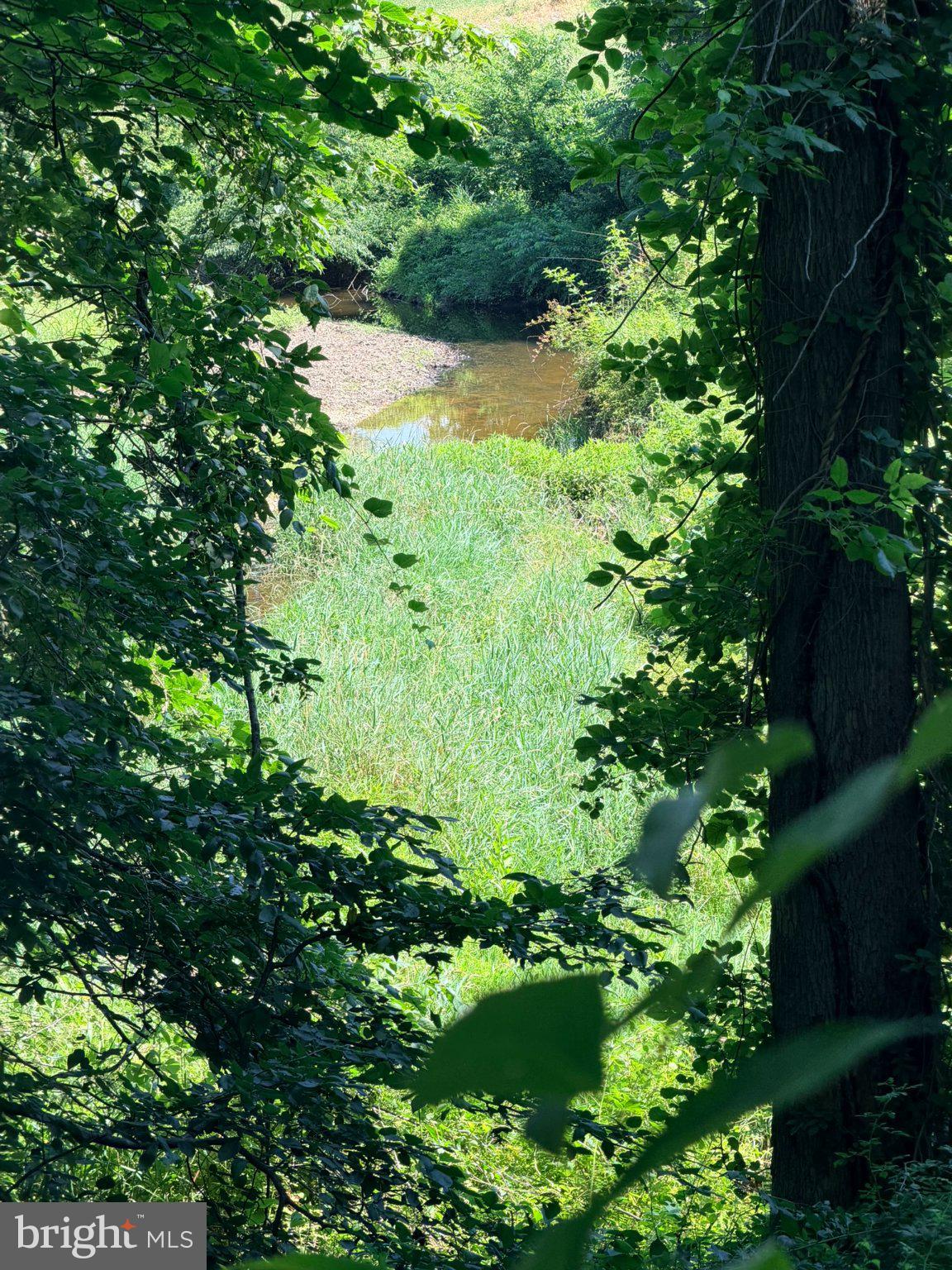 586 Zeitler Road Elkton, MD 21921 - Photo 46 of 55 Serene glade by the tranquil stream.