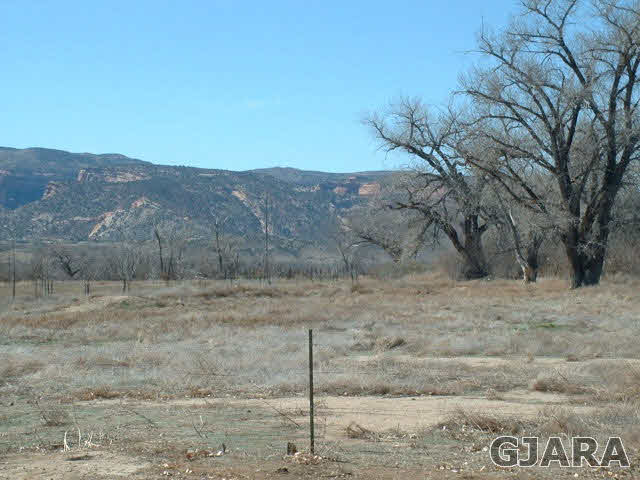 833 21 Road Fruita, CO 81521 - Photo 8 of 8 a view of a dry yard with wooden fence