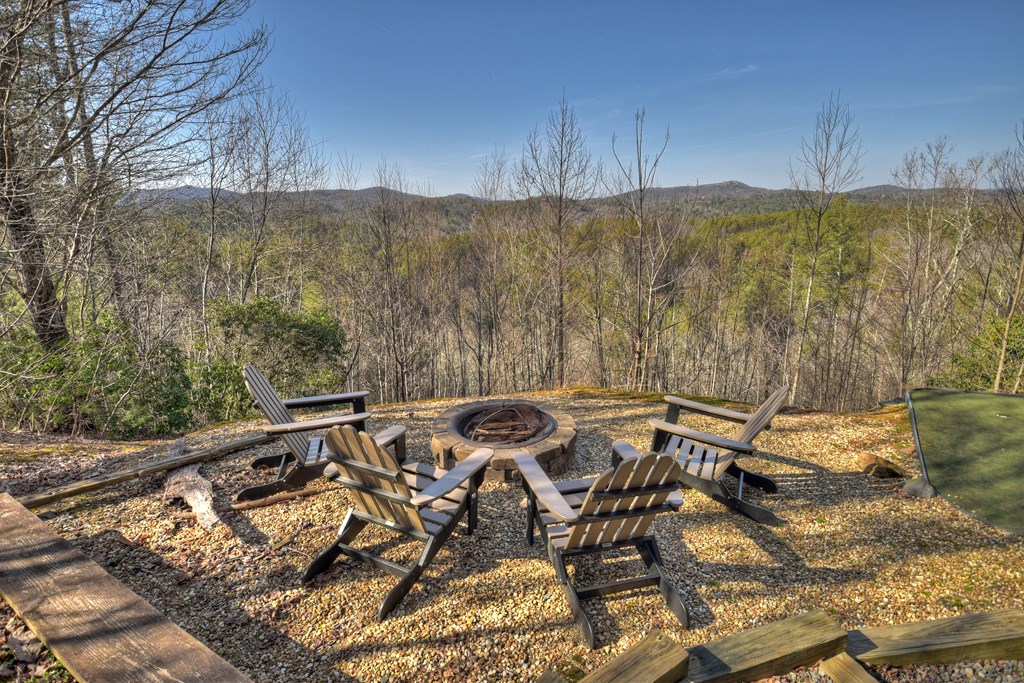 602 Laurel Creek Trail Blue Ridge, GA 30513 - Photo 41 of 53