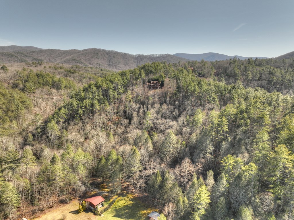 602 Laurel Creek Trail Blue Ridge, GA 30513 - Photo 47 of 53