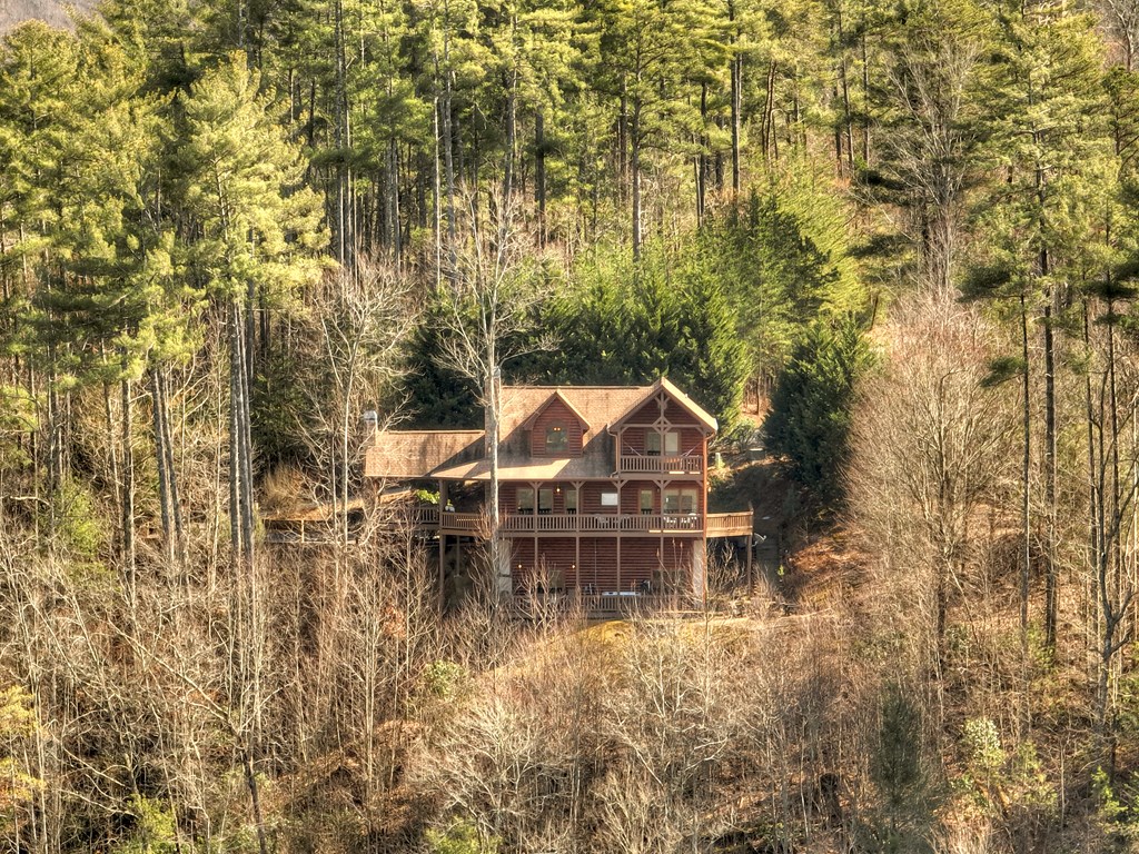 602 Laurel Creek Trail Blue Ridge, GA 30513 - Photo 48 of 53