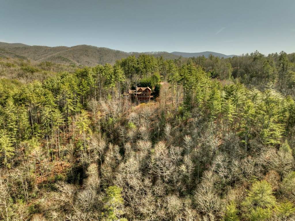 602 Laurel Creek Trail Blue Ridge, GA 30513 - Photo 50 of 53