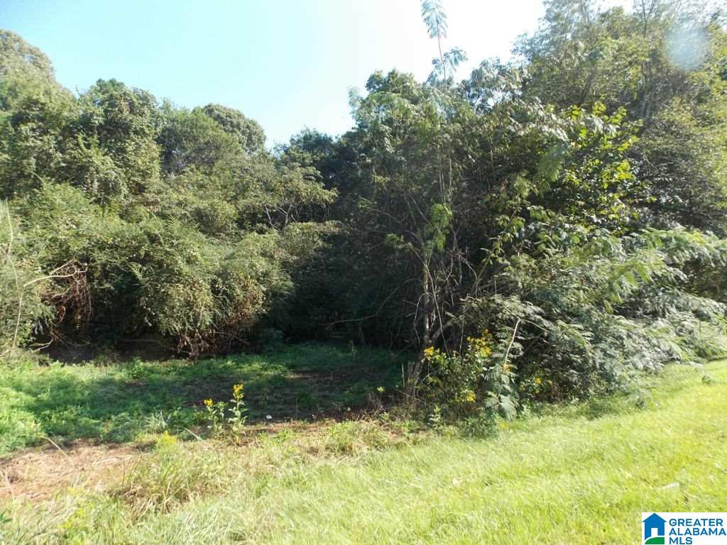 375 Marble Quarry Road, Unit 7 ACRES Talladega, AL 35160 - Photo 24 of 33