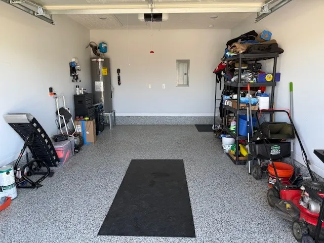a view of a forest with trees in the background