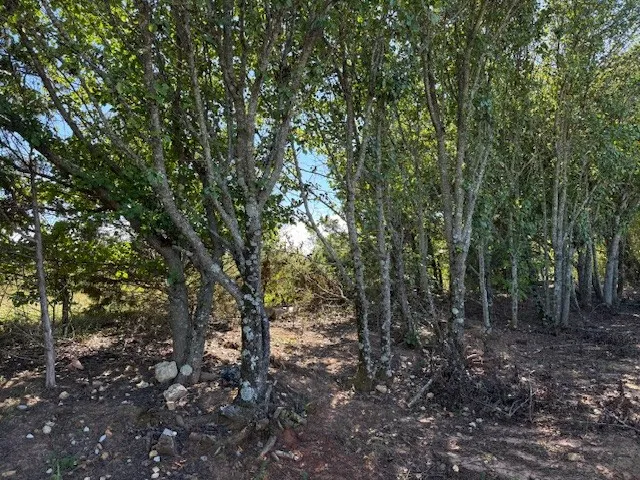 a backyard of a house