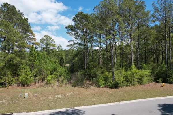 $254,000 | Lot 51 South St Claire Lane, Freeport, FL 32439