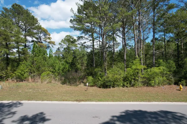 $254,000 | Lot 51 South St Claire Lane, Freeport, FL 32439