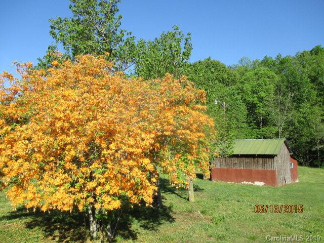 2891 Bethlehem Road Old Fort, NC 28762 - Photo 13 of 27 Gallery Image 13