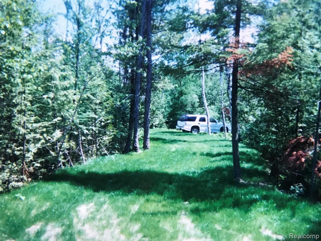 0 Mills Street Twining, MI 48766 - Photo 4 of 7