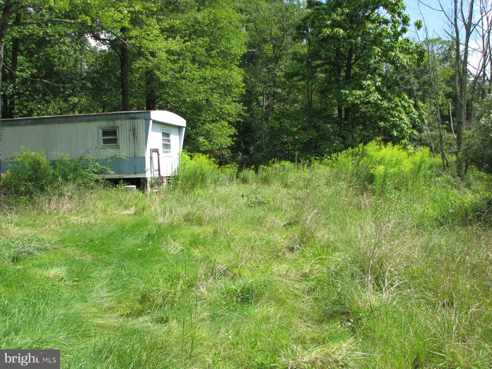 5925 4 Point Road Bethel, PA 19507 - Photo 4 of 9 SIDE