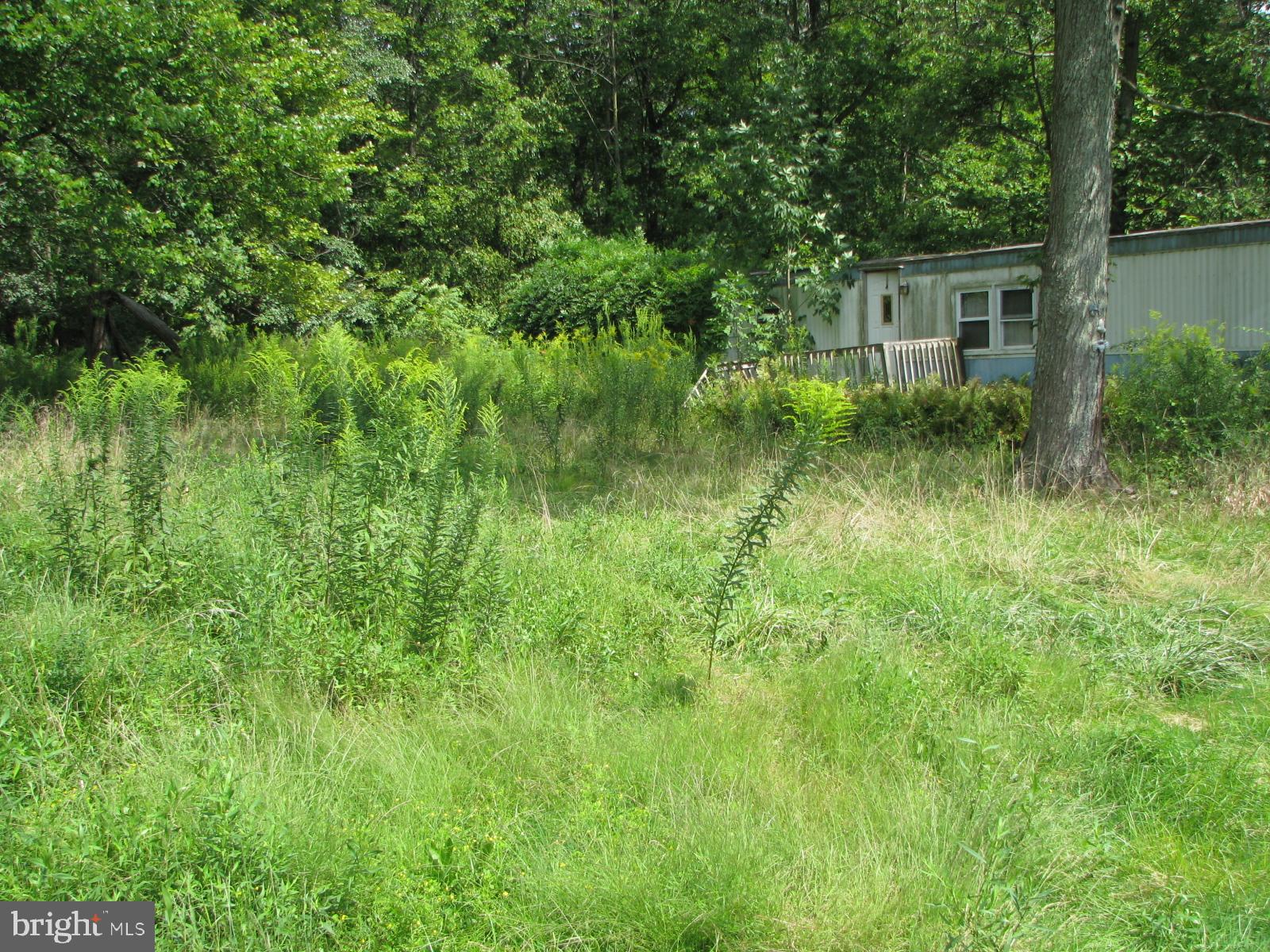 5925 4 Point Road Bethel, PA 19507 - Photo 5 of 9 FRONT