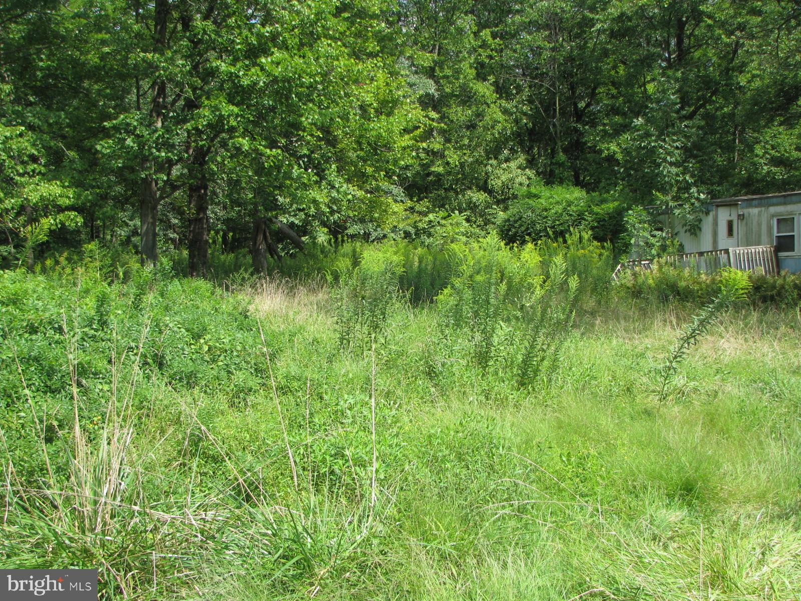 5925 4 Point Road Bethel, PA 19507 - Photo 6 of 9 LOT