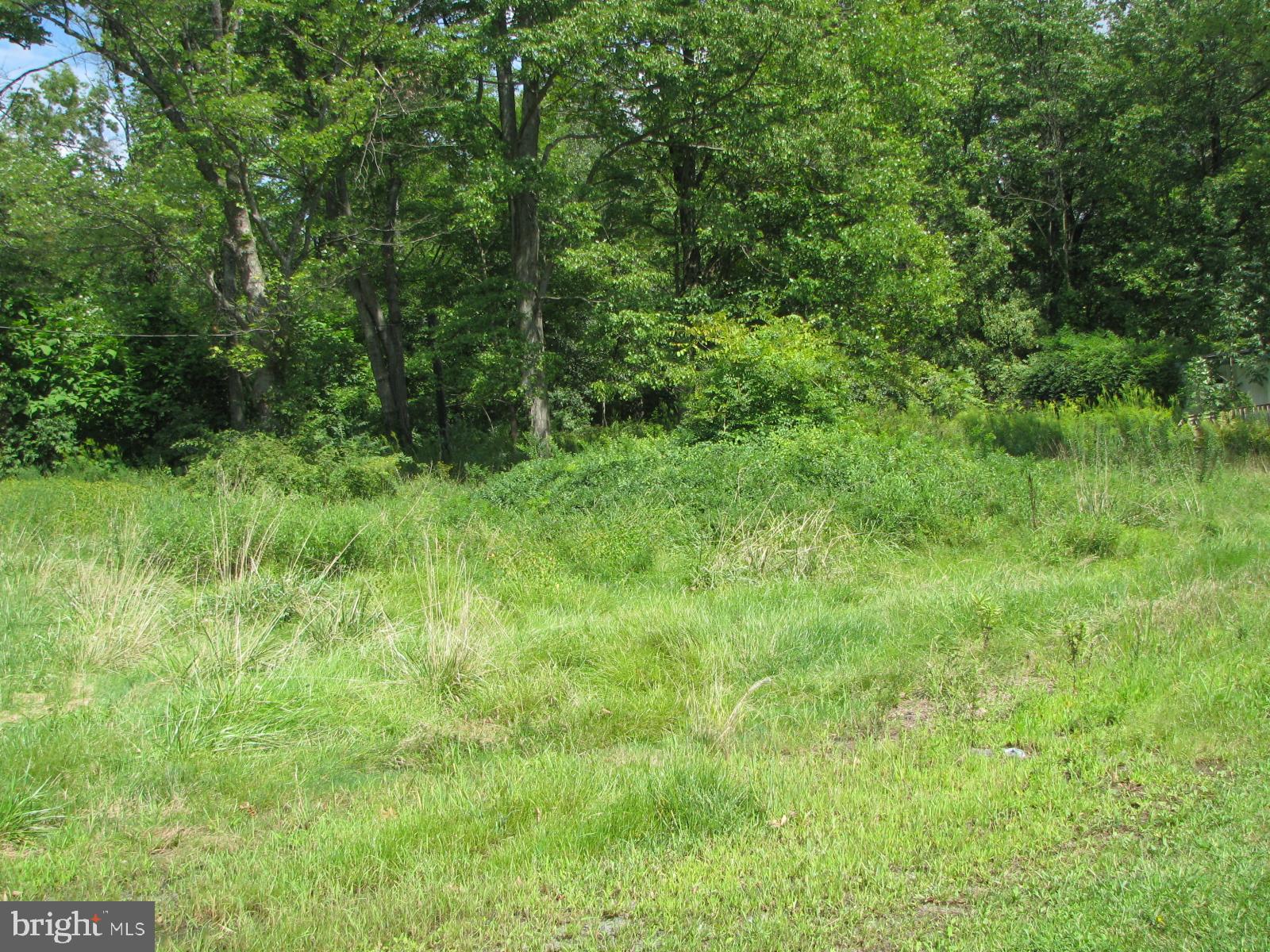 5925 4 Point Road Bethel, PA 19507 - Photo 7 of 9 LOT