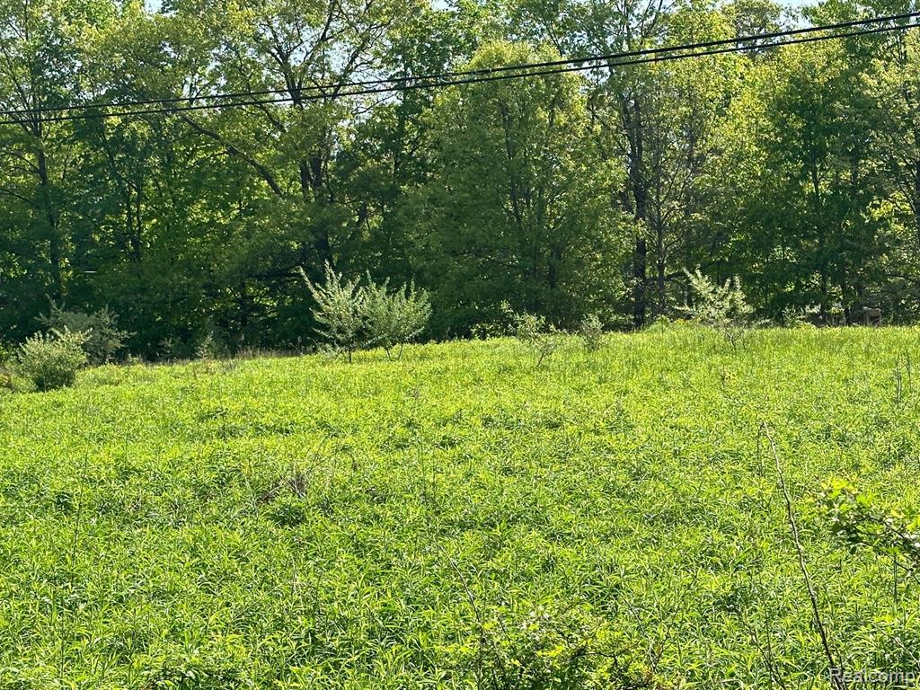 D North Holly Road Holly, MI 48442 - Photo 24 of 27