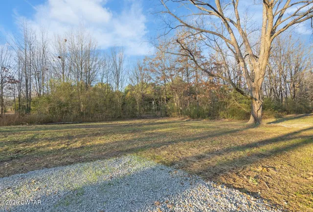 a view of a yard with large trees