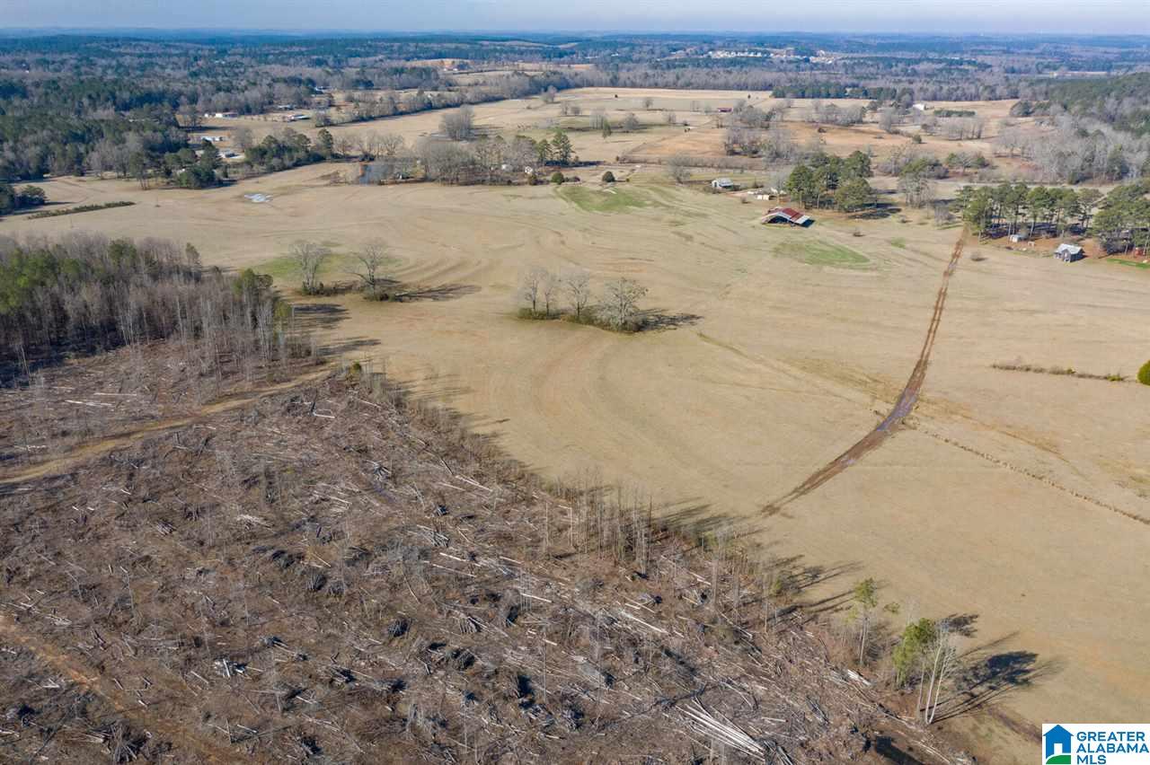 11112 Vance Blocton Road Vance, AL 35490 - Photo 15 of 20