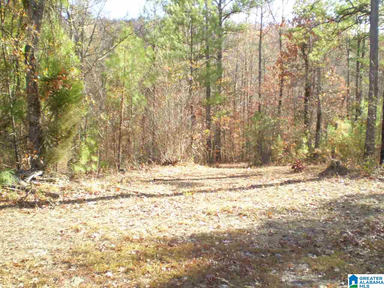 172 Waldrop Road, Unit 9 Ashville, AL 35953 - Photo 23 of 36
