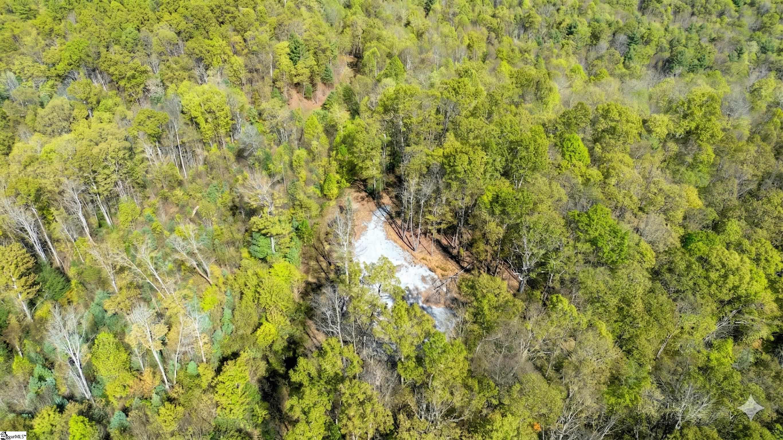 126 Old Springfield Road Cleveland, SC 29635 - Photo 3 of 7