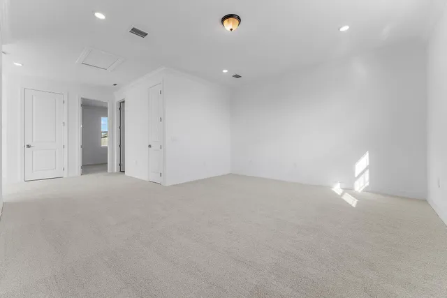 a view of a park that has a tree in it