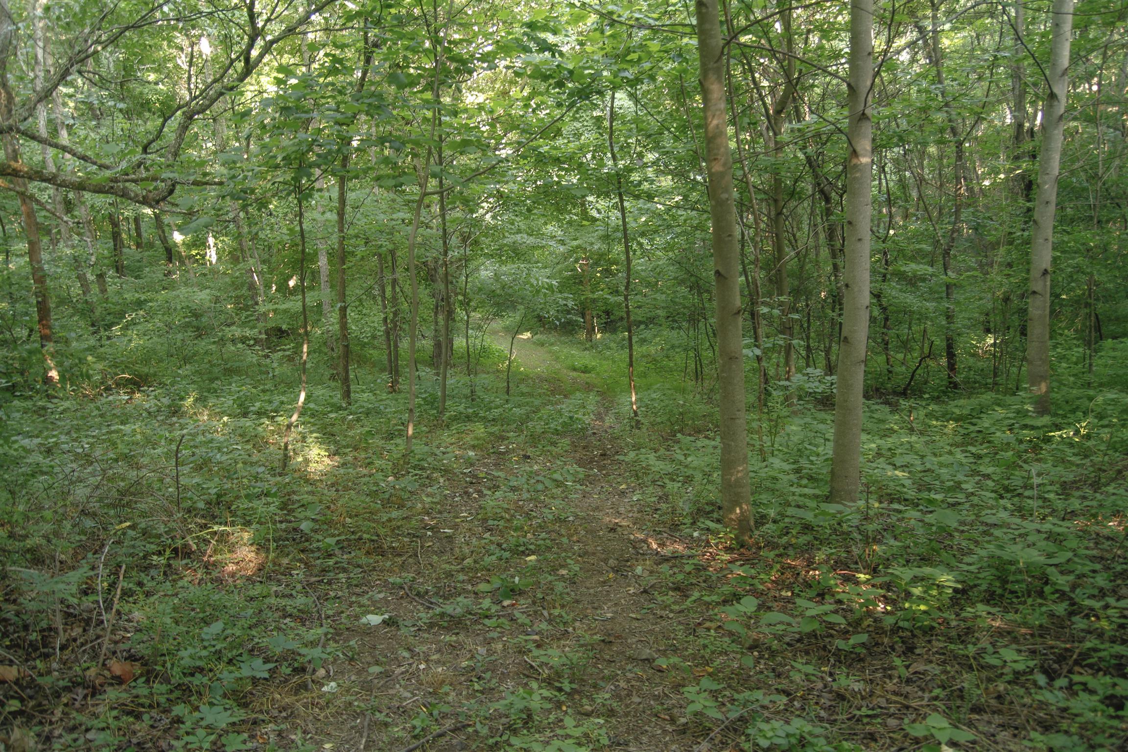 261 Stoneboro Road Fayetteville, TN 37334 - Photo 12 of 22