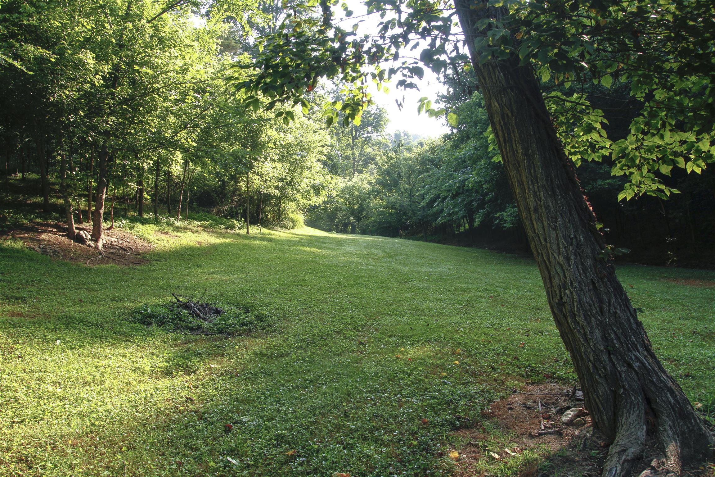 261 Stoneboro Road Fayetteville, TN 37334 - Photo 8 of 22