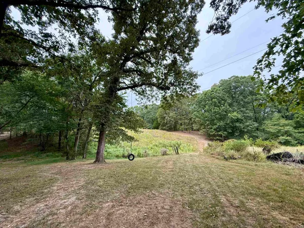 a view of open space with trees