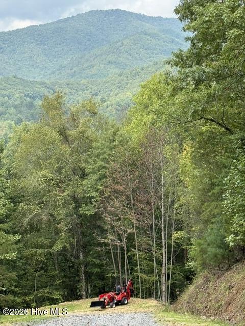 Lot 5 Downings Creek Road Hayesville, NC 28904 - Photo 6 of 11