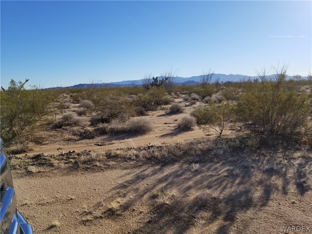 Lot 39 N/a Road Yucca, AZ 86438 - Photo 3 of 3 a view of a dry yard with mountains in the background