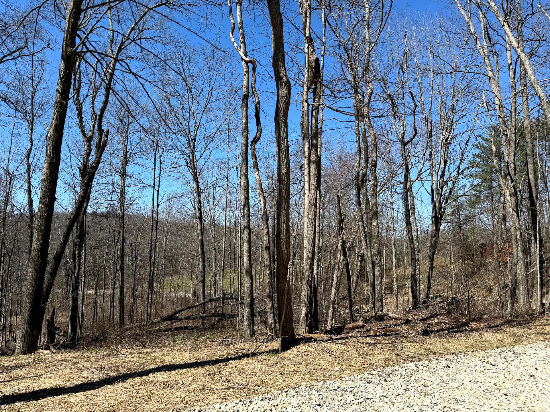 0 Dutch Ridge Road Southeast, Unit WOODS TURKEY RUN TRACT 5) New Lexington, OH 43764 - Photo 10 of 58 CT-10