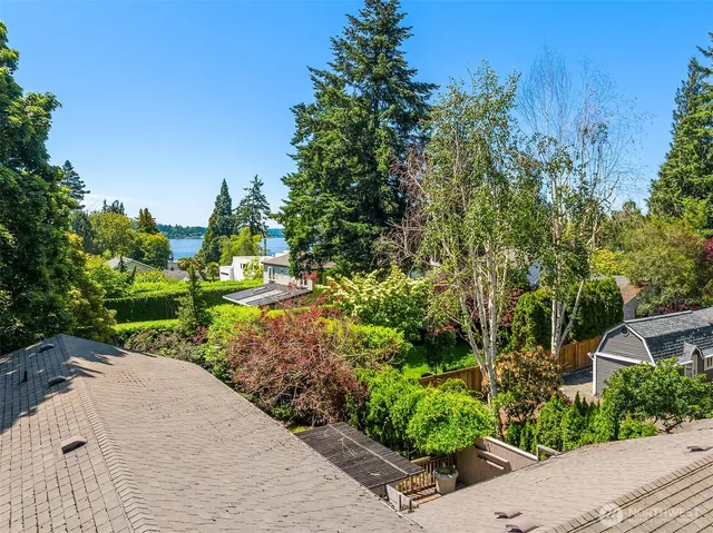 a view of a garden with plants and large trees