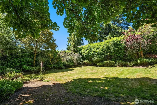 a view of a trees with a yard