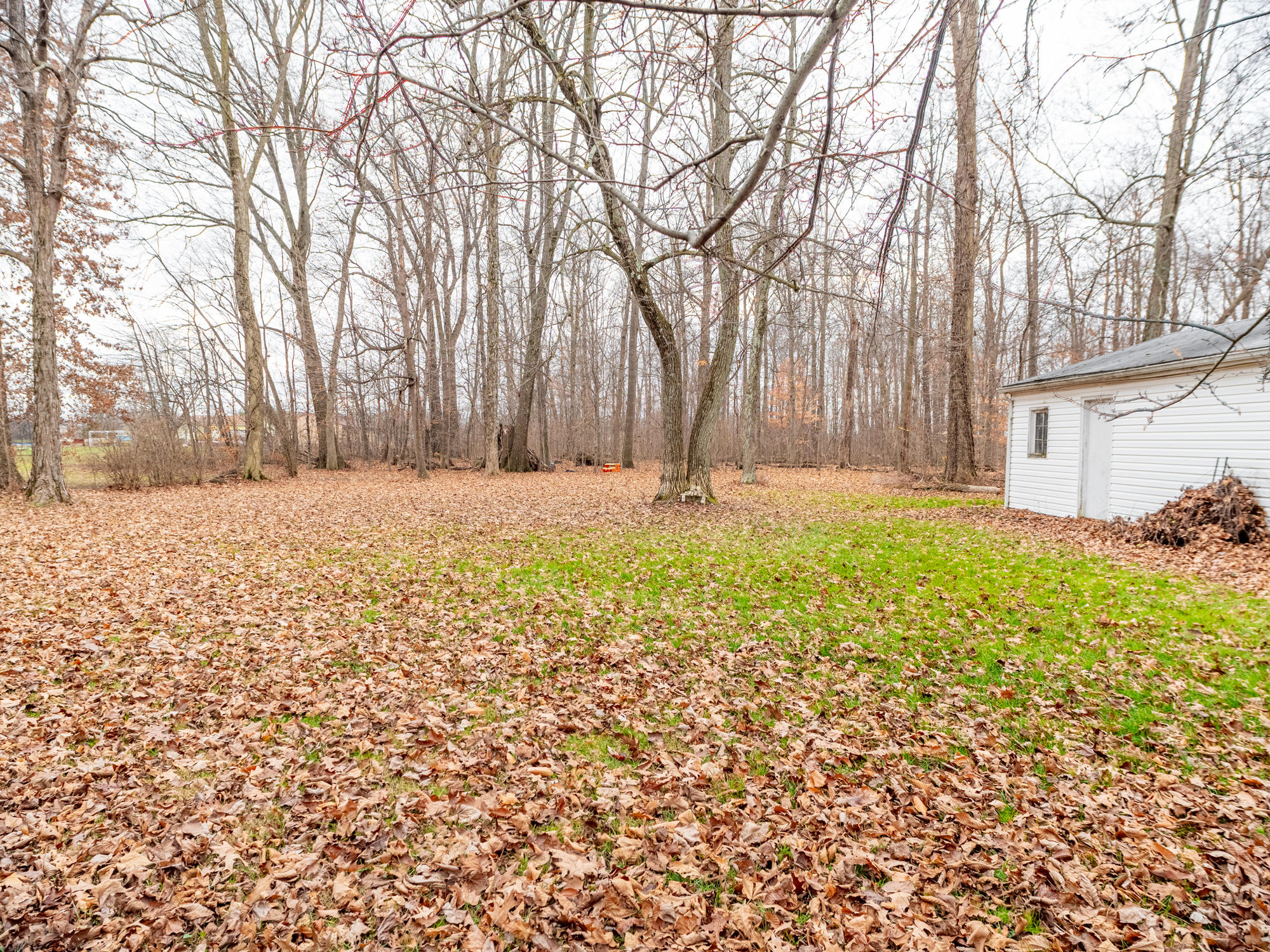 7800 Mehaffey Road Lima, OH 45801 - Photo 5 of 18