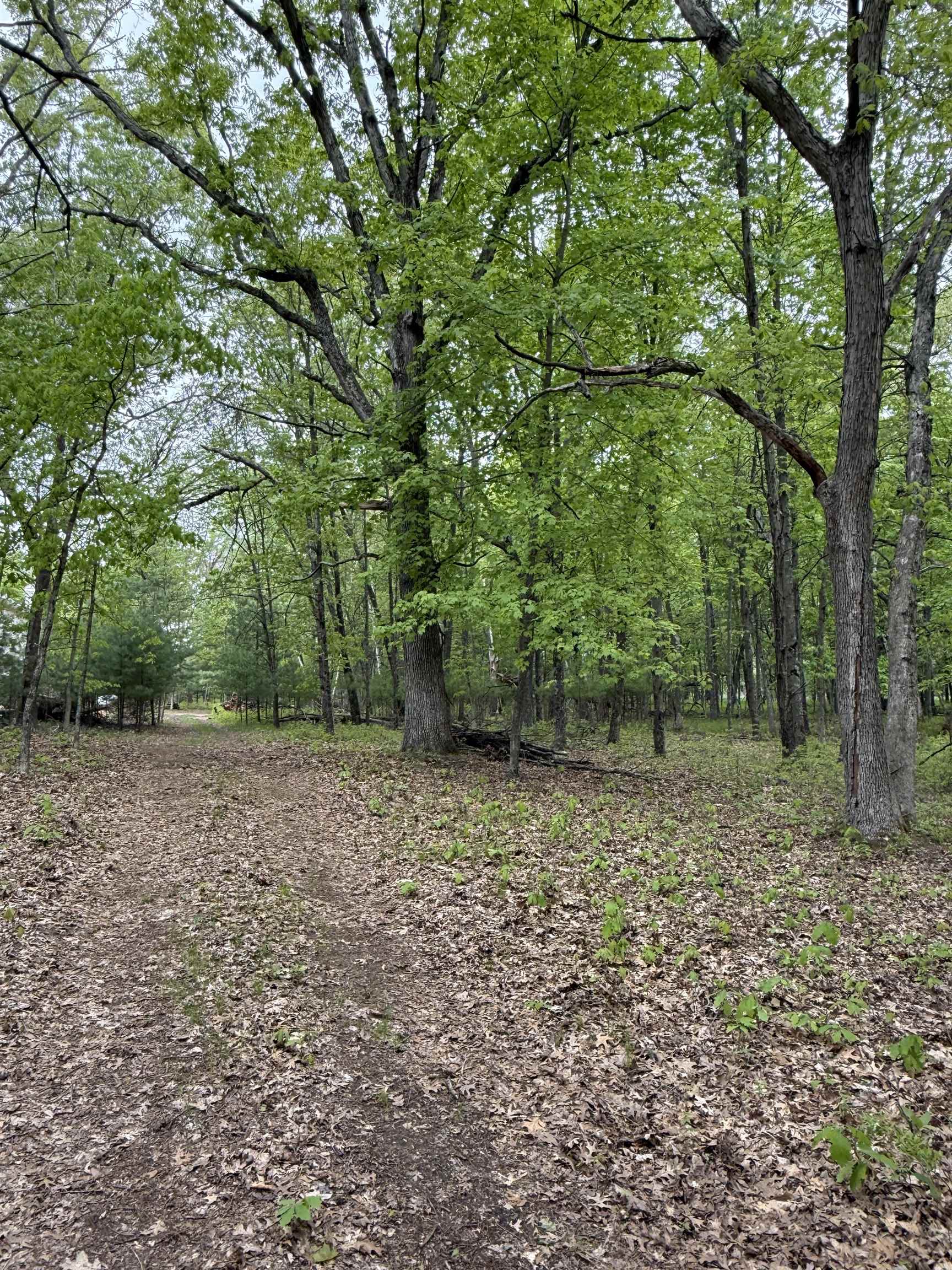 N3381 Deer Run Montello, WI 53949 - Photo 22 of 24