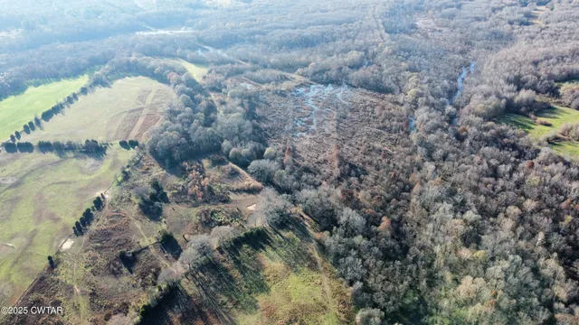 a view of a water fountain in a forest