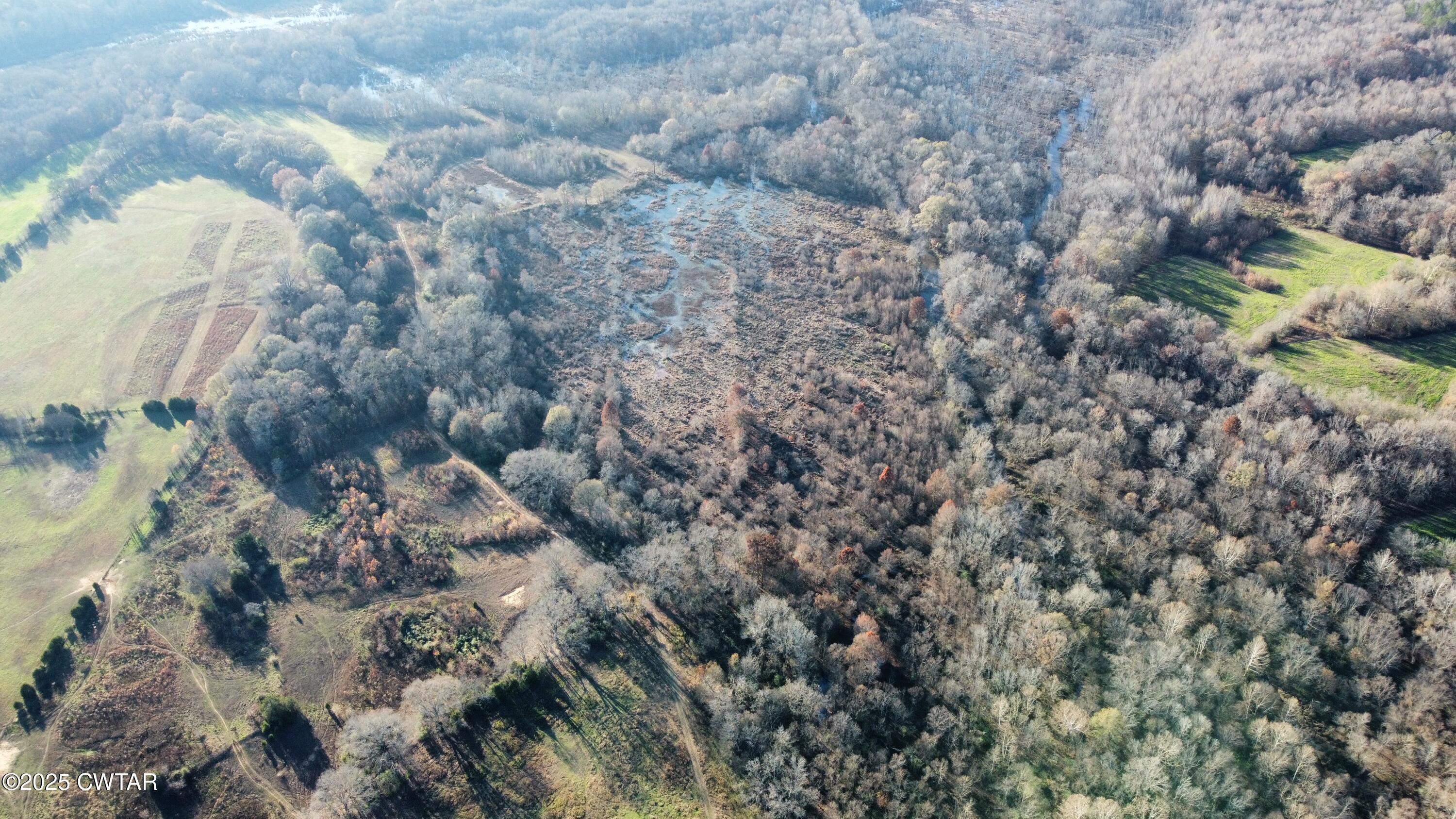 0 Terry Lane Henderson, TN 38340 - Photo 3 of 9 a view of a yard of a house